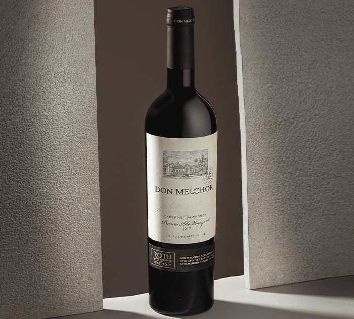 Wine Enthusiast ranks Don Melchor 2017 among The Top 10 Cellar Selections of the year
