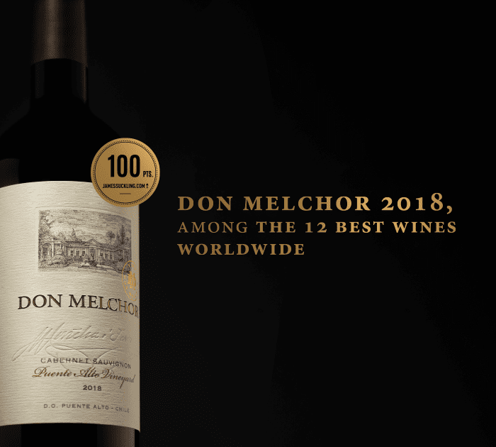 Don Melchor 2018: Among the 12 best wines worldwide