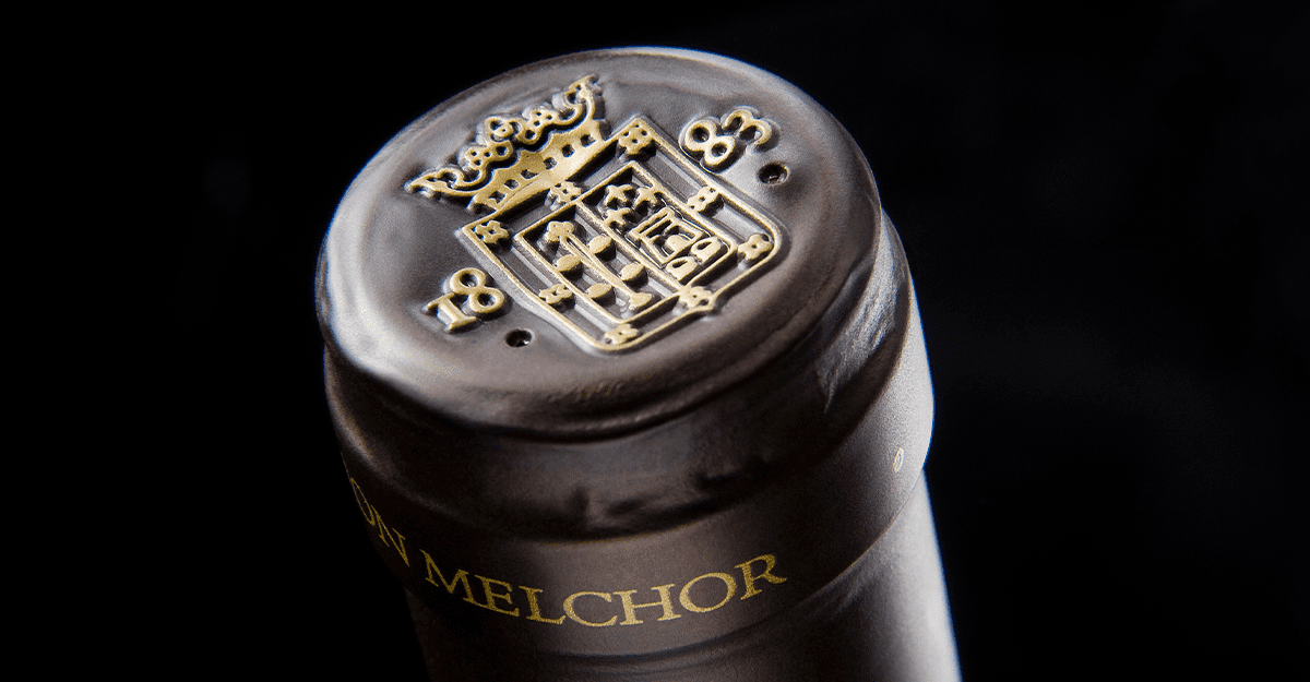 Don Melchor 2020, um dos melhores vinhos chilenos na Wine Spectator