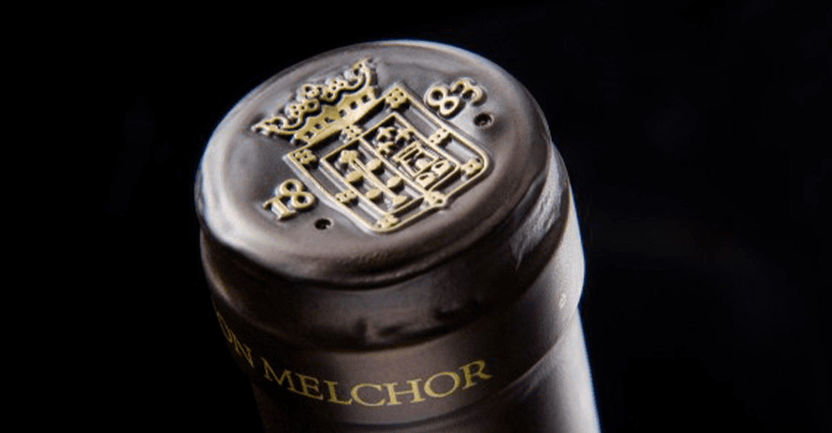 Don Melchor 2020 uno de los mejores vinos chilenos en Wine Spectator