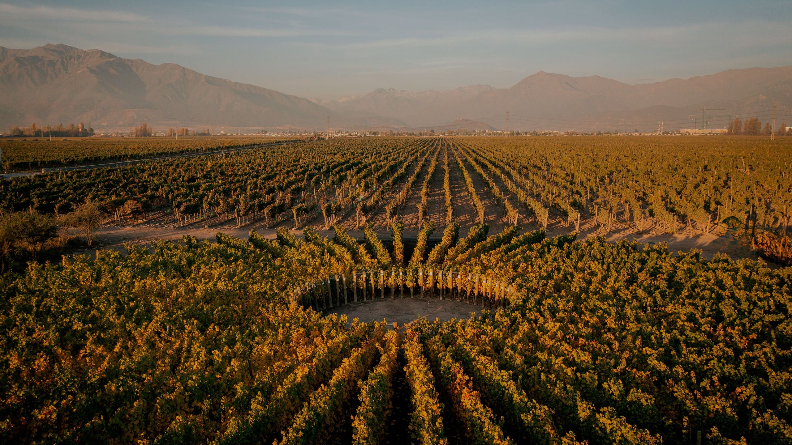 Unprecedented “Sundial Vineyard Project” to advance excellence, innovation and sustainability