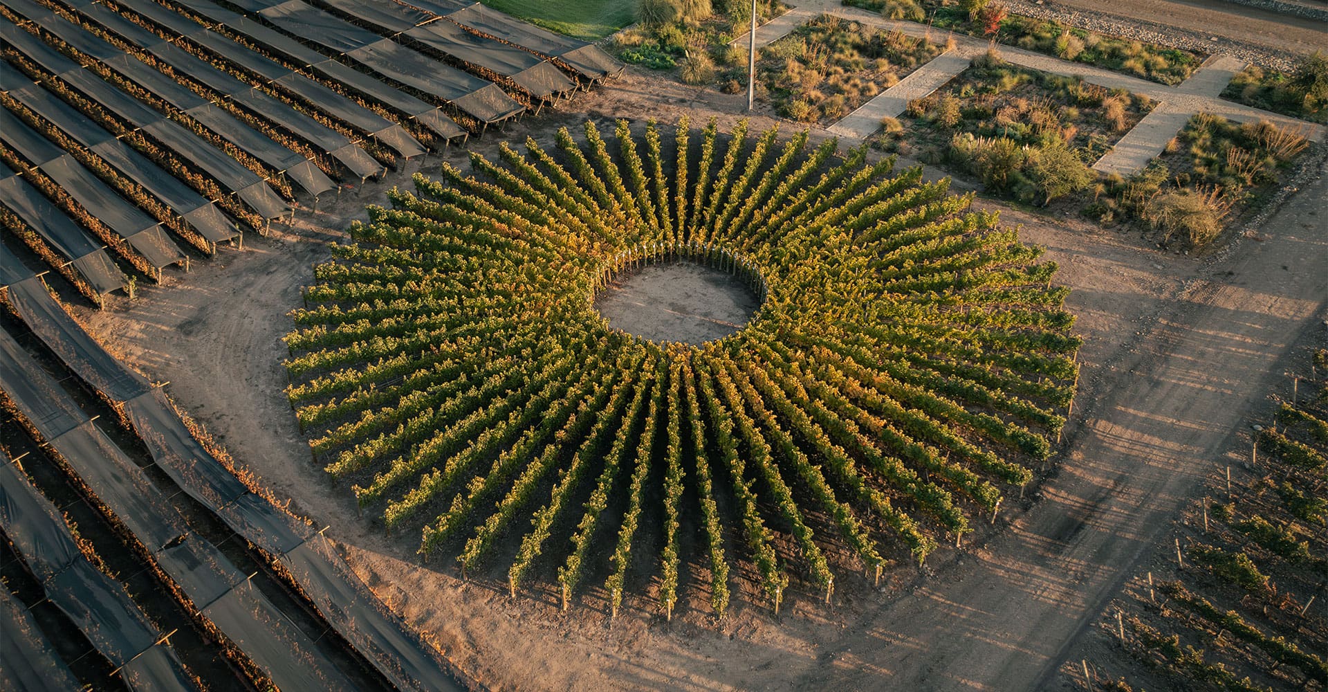 Discover the Sundial Vineyard Project of Viña Don Melchor