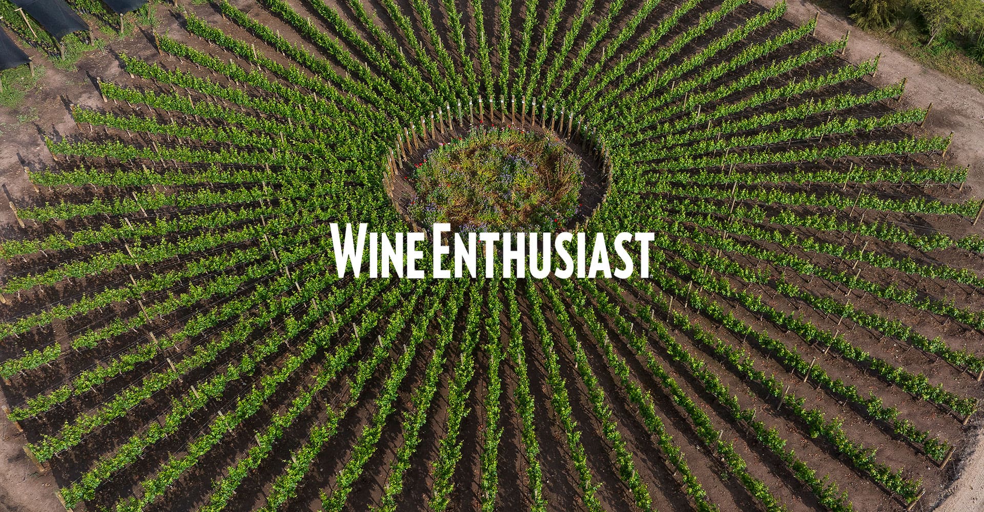 Wine Enthusiast features Solar Vineyard